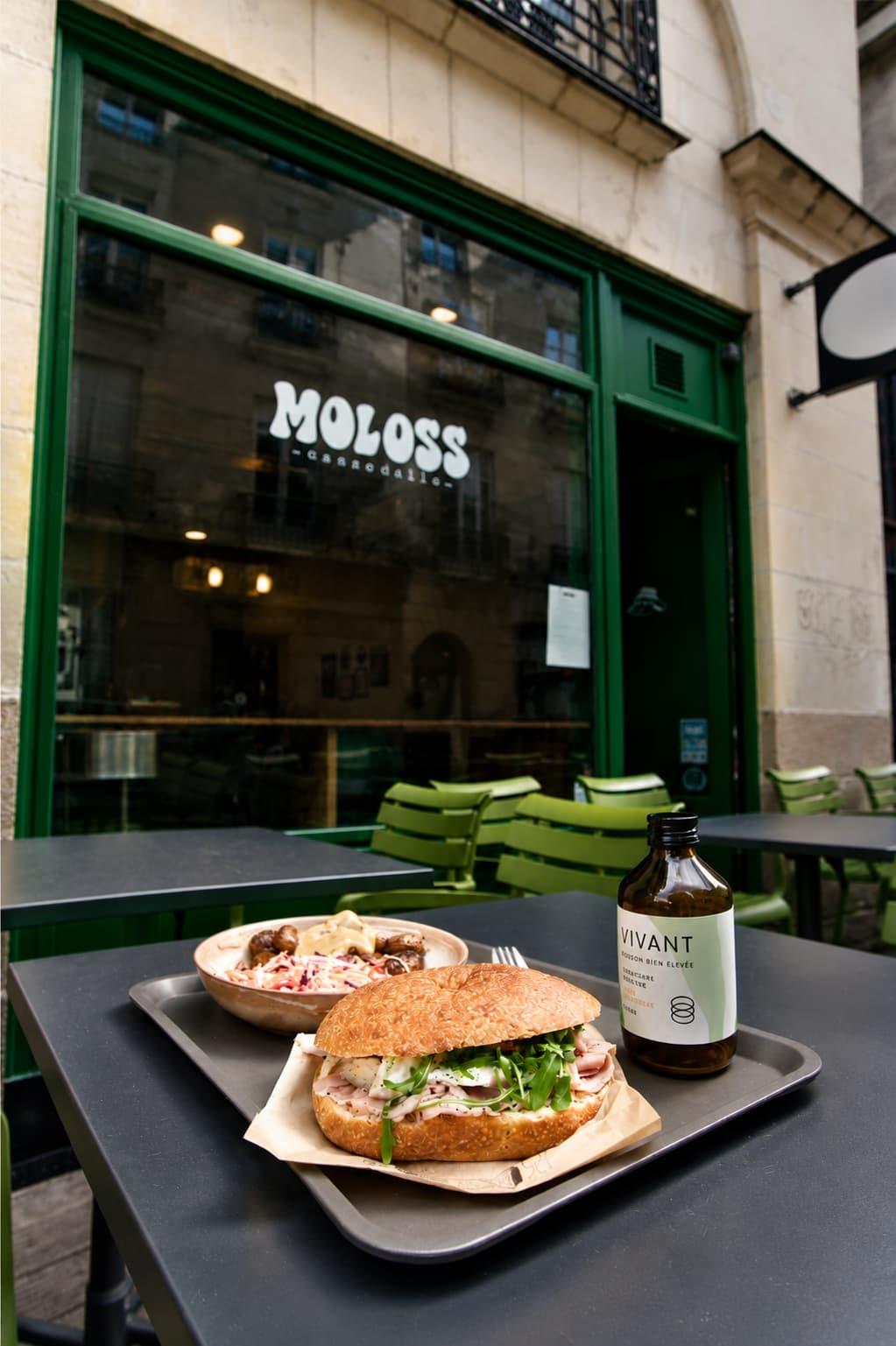 Vue extérieure de Moloss