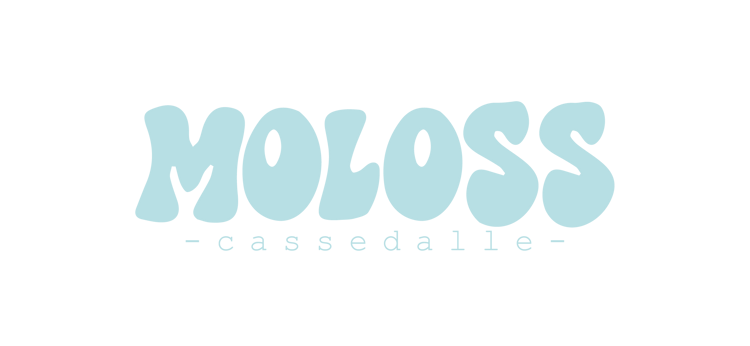 Logo texte Moloss